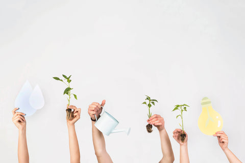 What is Sustainability? It’s Time to Break the Myths