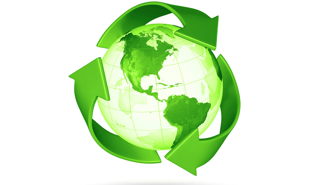 Recycling Products: The First Step to Reducing Environmental Impact