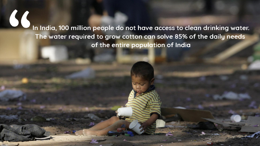 Fashion & Its Impact on our Environment