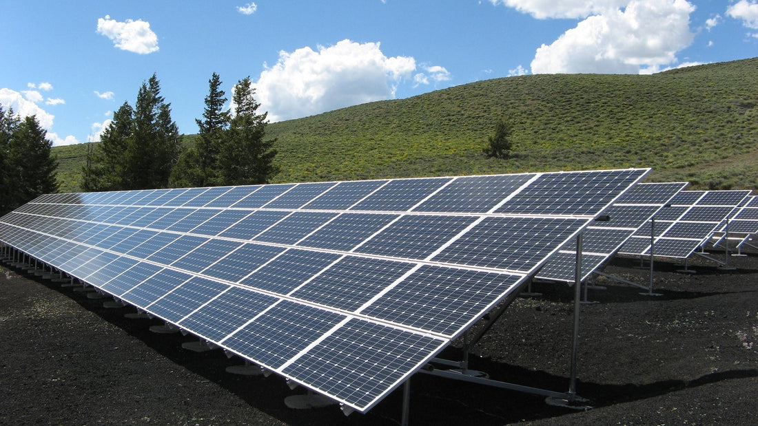 Can Opting for a Sustainable Lifestyle Prevent Climate Change?