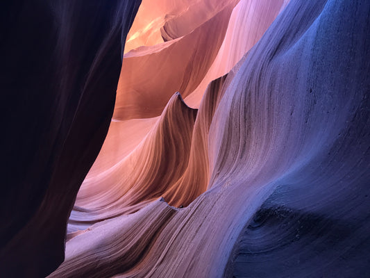 Color Combinations You Need to Know About: a la Nature