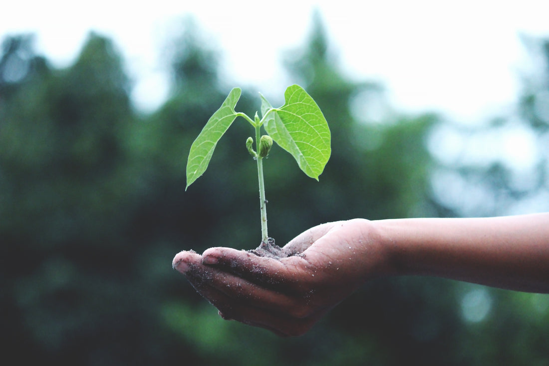 Understanding the Concept: The Three Pillars of Sustainability