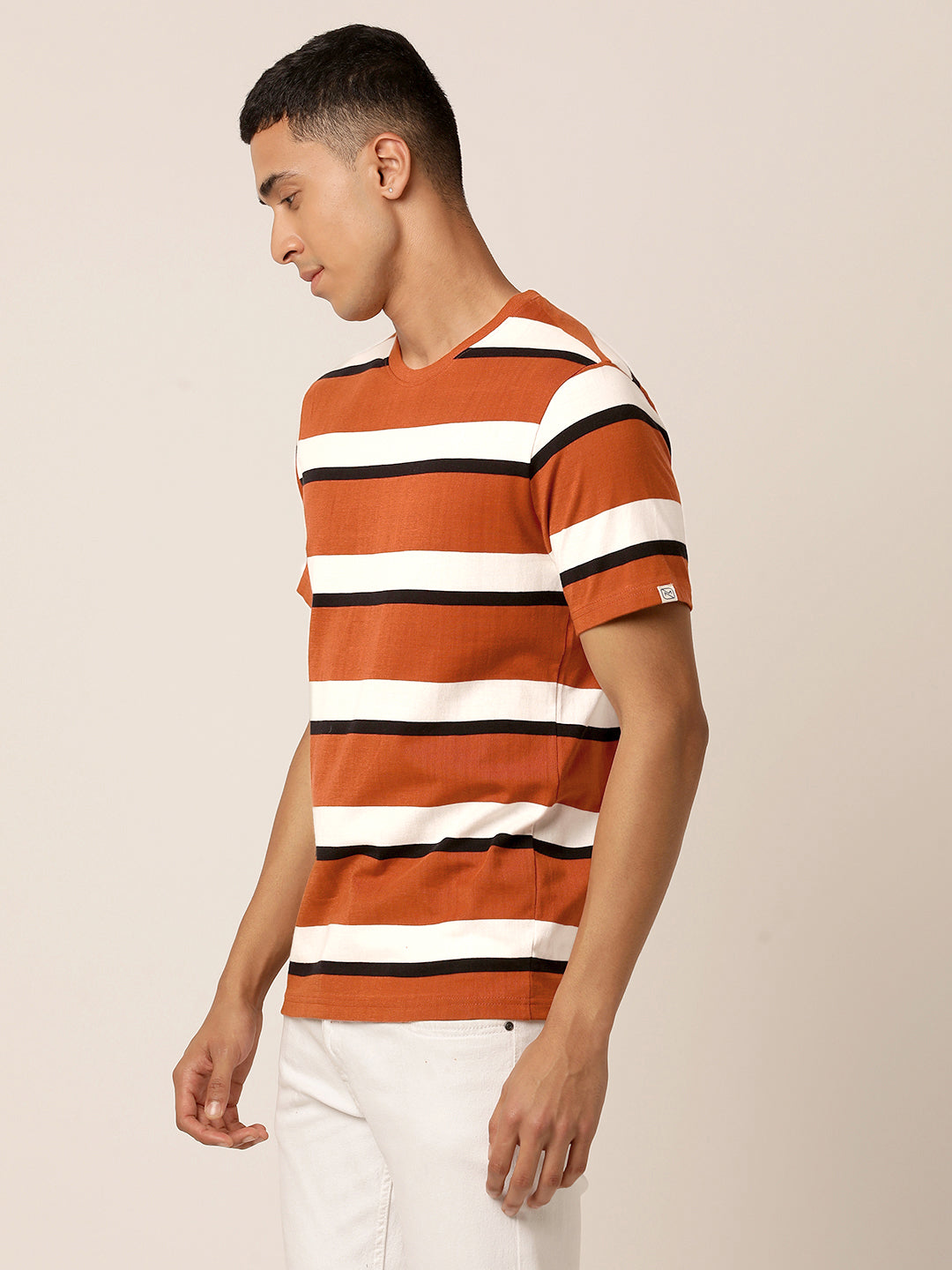 Umber Stripe Crew T-Shirt